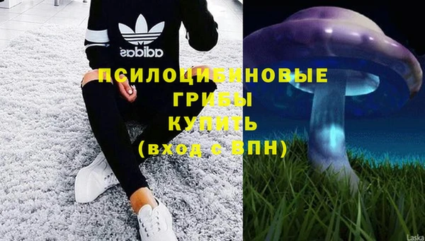 таблы Аркадак