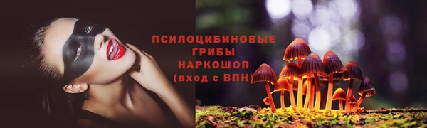 таблы Аркадак
