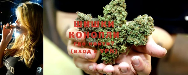 PSILOCYBIN Баксан
